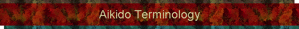Aikido Terms